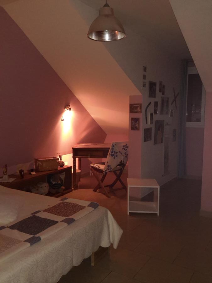 Chambre d'Hôte Ti coin Tranquille Saint-Leu Extérieur photo
